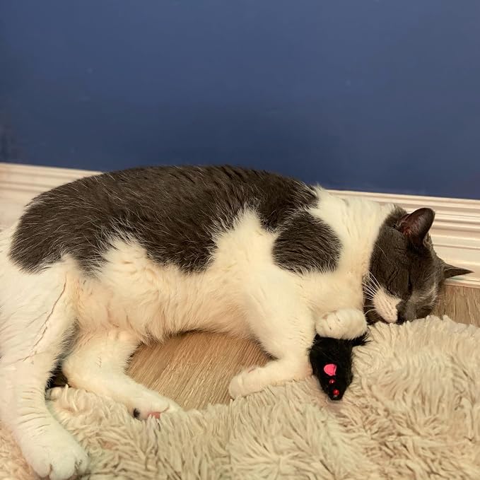 SPOT Shaggy Plush Ferret - Image 8