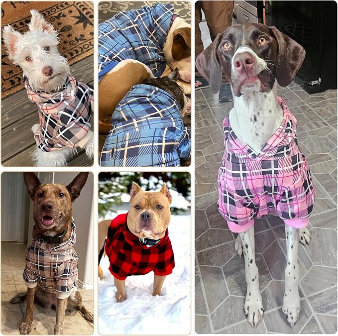 EXPAWLORER Plaid Dog Hoodie - Image 9