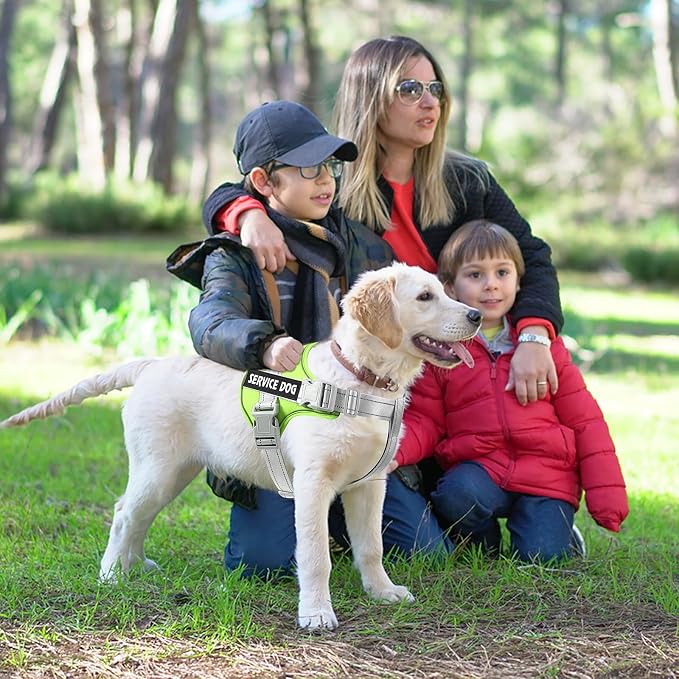 voopet Emotional Support Dog Harness, Professional Service Dog Vest Harness - Image 5