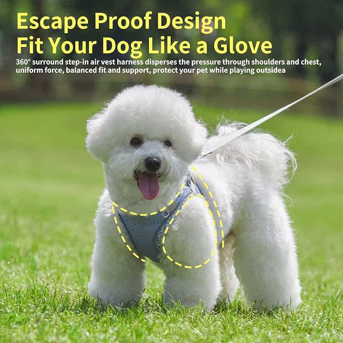 Summer Pet Supply No Pull, Step in Adjustable Dog Harness - Image 3