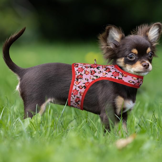 Mile High Life Velcro Dog Harness, Air Mesh Floral Vest Harness - Image 8