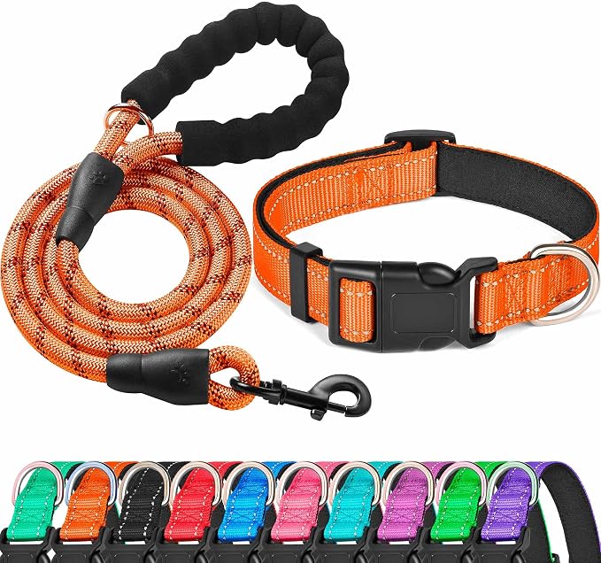 Reflective Dog Collar Padded by ladoogo