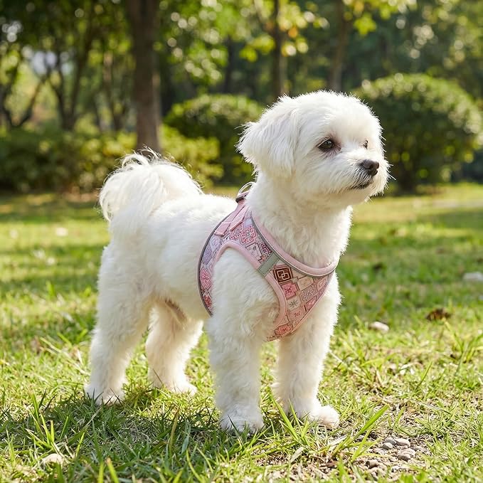 Step in Dog Harness and Leash Set, Reflective Adjustable No Pull Dog Harness - Image 5