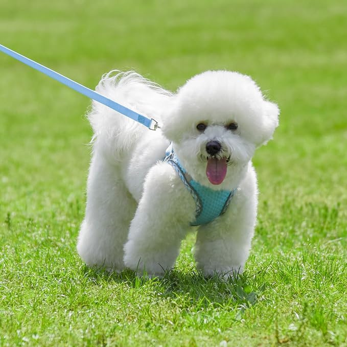 Tiny Dog Harness, All Weather Diamond Mesh, Reflective Stripes, No Pull Step in - Image 9