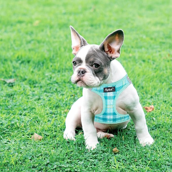 PUPTECK Dog Harness and Leash Set - Image 6