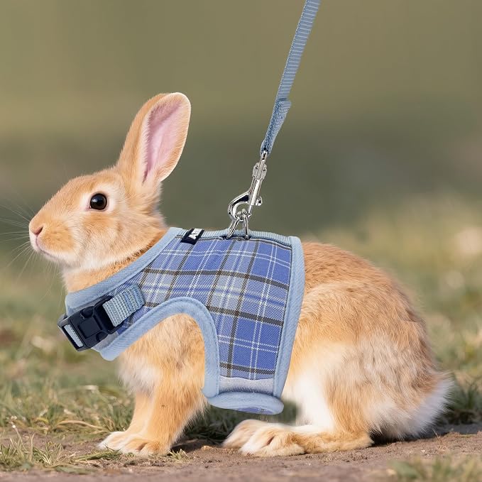 AIITLE Breathable Rabbit Harness and Leash Set - Image 2