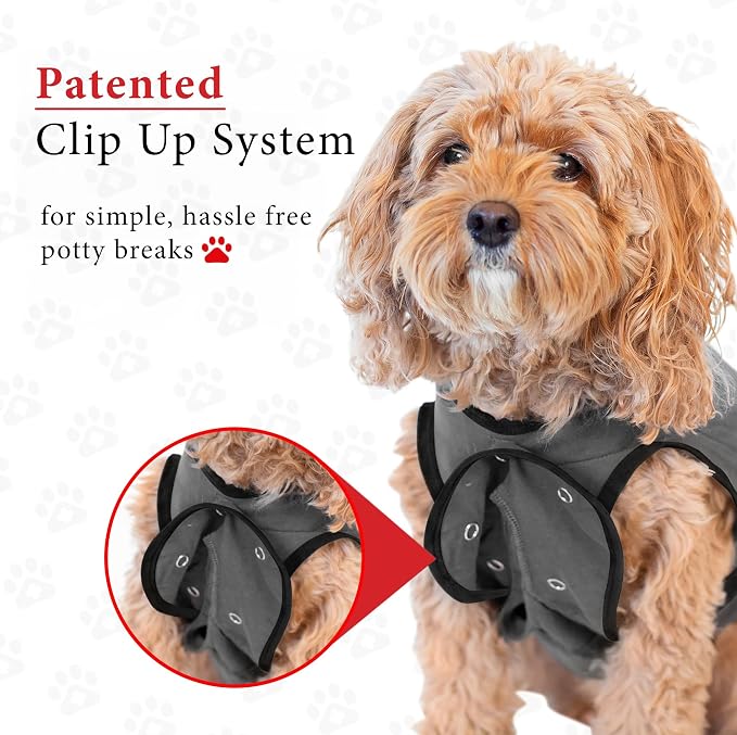 BellyGuard Dog Surgery Recovery Suit, Dog Onesie - Image 5