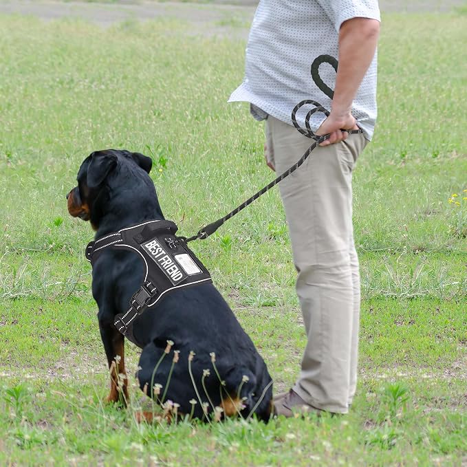 Heavy Duty Tactical Dog Harness - Image 3