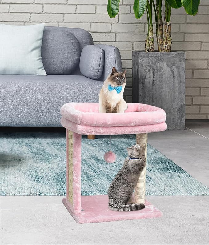 SYANDLVY Small Cat Tree for Indoor Cats, Scratching Board - Image 5