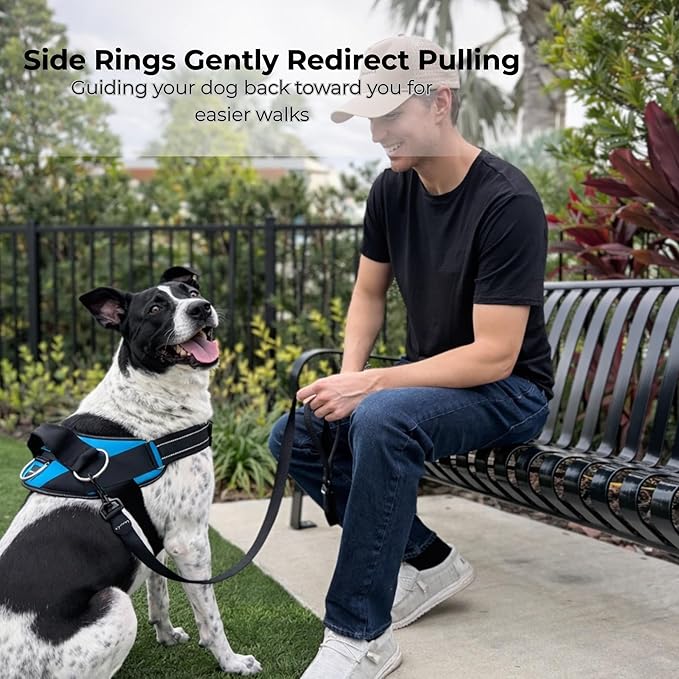 ShawnCo Essential Dog Harness, No-Pull Pet Vest - Image 3