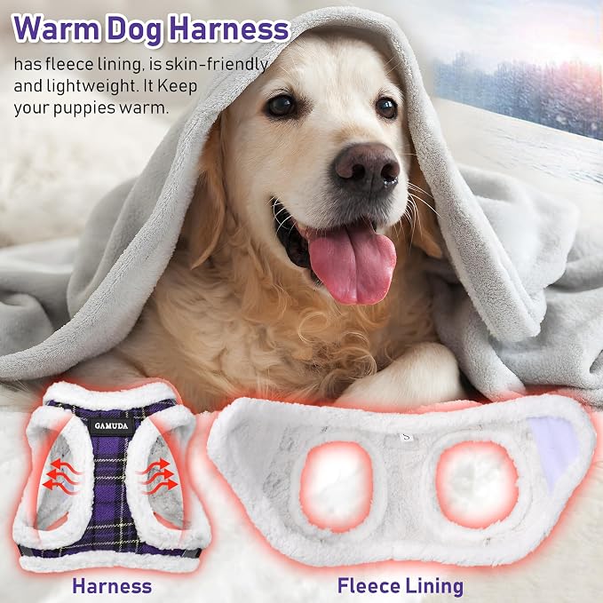 GAMUDA Small Dog Harness Collar and Leash Set, Step in No Chock No Pull Soft - Image 6