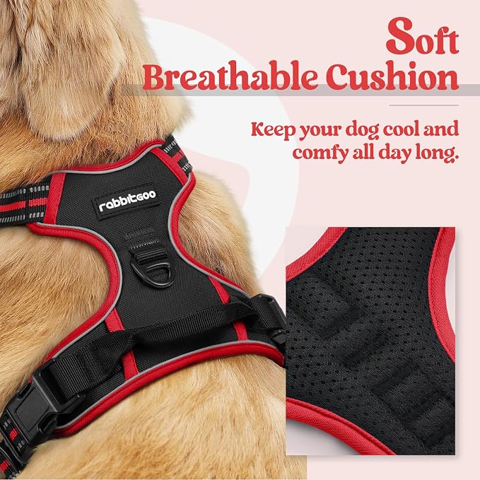 rabbitgoo Dog Harness No Pull - Image 2