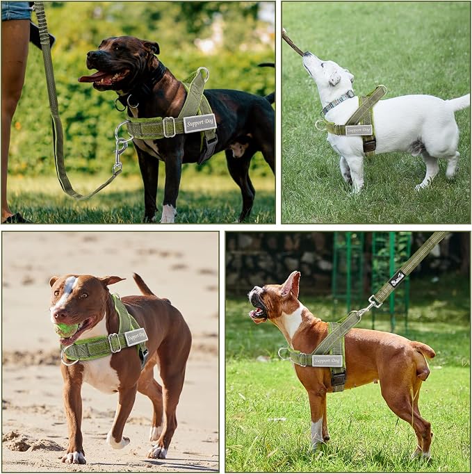SlowTon No Pull Dog Harness - Image 8