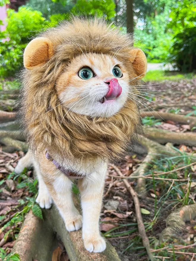 Lion Mane Wig for Cat, Funny Pet Cat & Puppy Costumes for Halloween & Christmas - Image 8