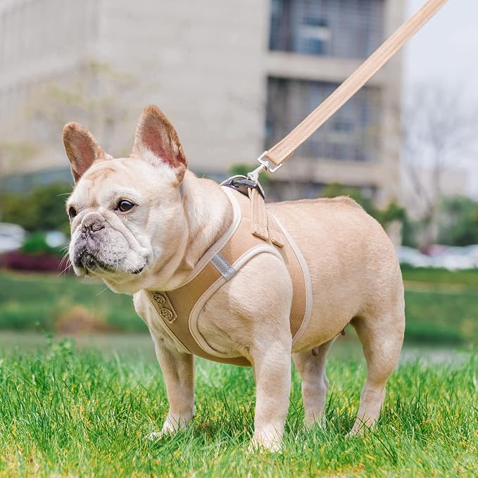 PUPTECK Dog Harness and Leash Set - Image 2
