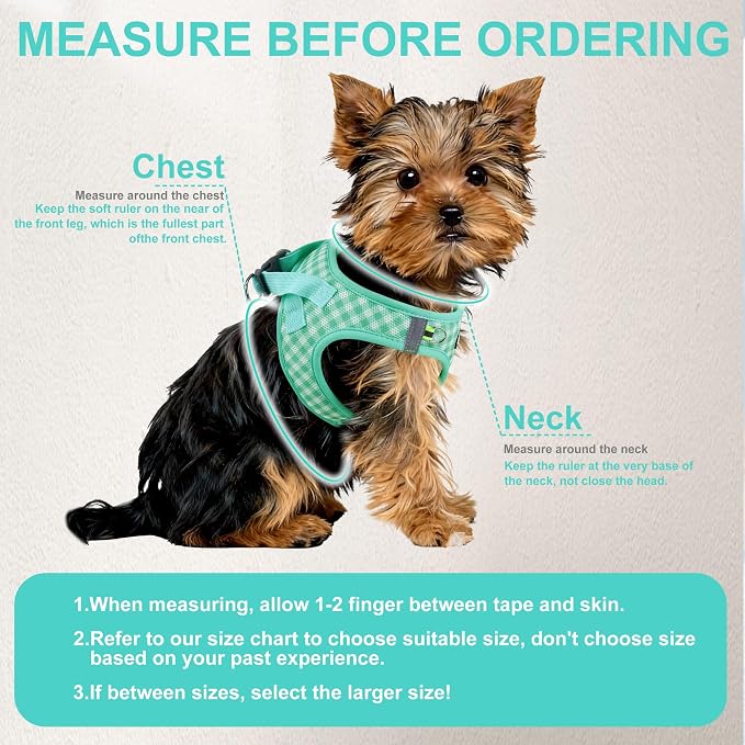 AIITLE Adjustable Dog Harness and Leash Set, Step in No Pull Pet Harness - Image 8