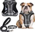 GAMUDA Small Dog Harness Collar and Leash Set, Step in No Chock No Pull Soft by GAMUDACollarsCollection