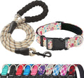 Reflective Dog Collar Padded by ladoogo
