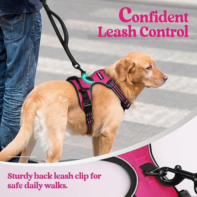 rabbitgoo Dog Harness No Pull - Image 6