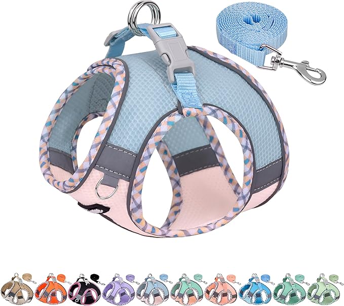 AIITLE XXS Dog Harness & Leash Set by AIITLE-FORPETSBETTERLIFE
