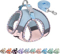 AIITLE Small Dog Harness by AIITLE-FORPETSBETTERLIFE