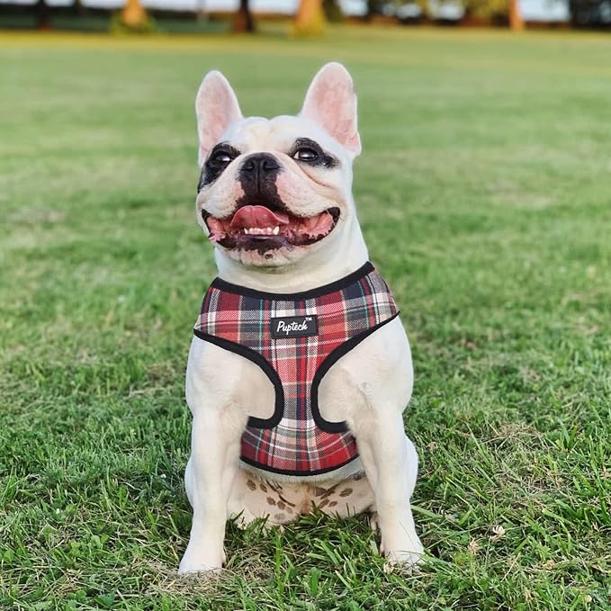 PUPTECK Soft Mesh Dog Harness and Leash Set Pet Puppy Cat Comfort Padded Vest - Image 7