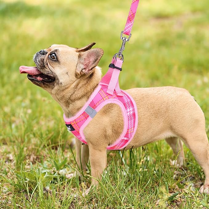 PUPTECK Dog Harness and Leash Set - Image 7