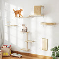 COZIWOW Cat Wall Shelves Set, 5-Piece Wall Mounted Cat Furniture by COZIWOW