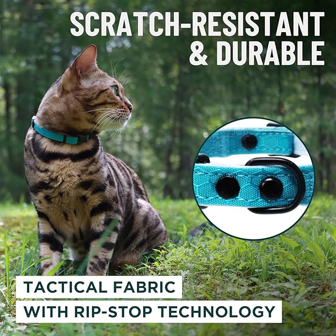 OutdoorBengal Blue Breakaway Kitten Collar - Image 4