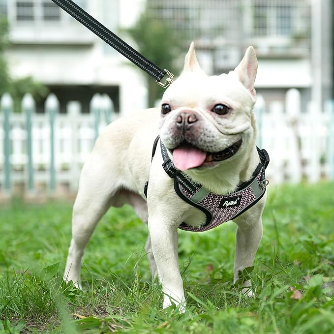 PUPTECK Dog Harness and Leash Set Small Sized, Step in No Pull Adjustable Puppy - Image 5