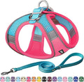 AIITLE Dog Harness, No-Pull Cat Harness by AIITLE-FORPETSBETTERLIFE