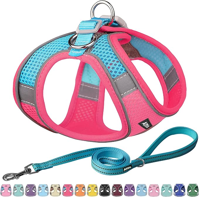 AIITLE Dog Harness, No-Pull Cat Harness by AIITLE-FORPETSBETTERLIFE