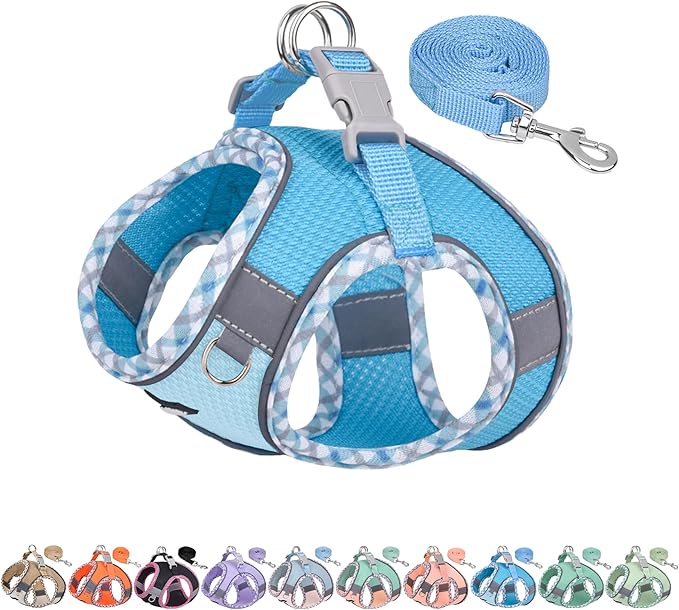 AIITLE Tiny Dog Harness by AIITLE-FORPETSBETTERLIFE