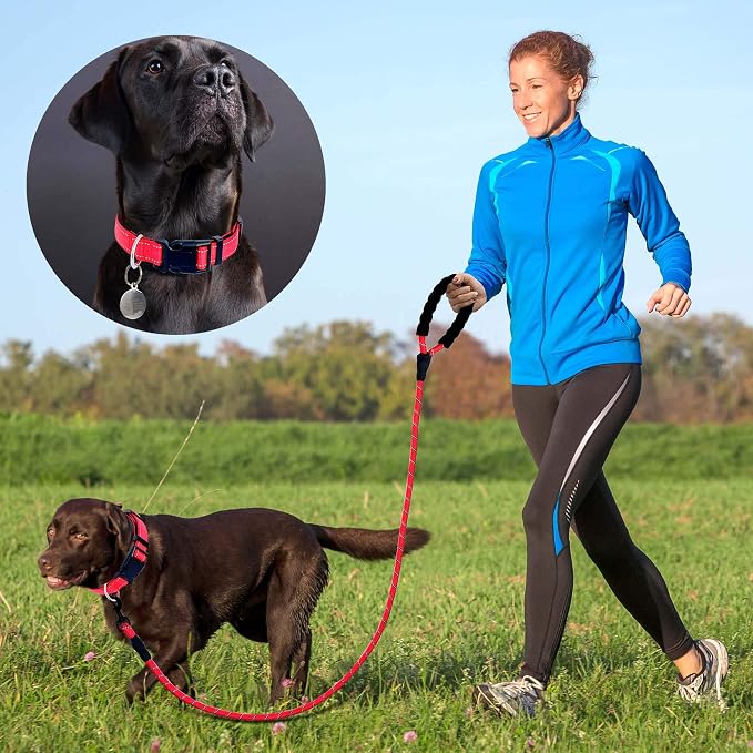 Reflective Dog Collar Padded - Image 4