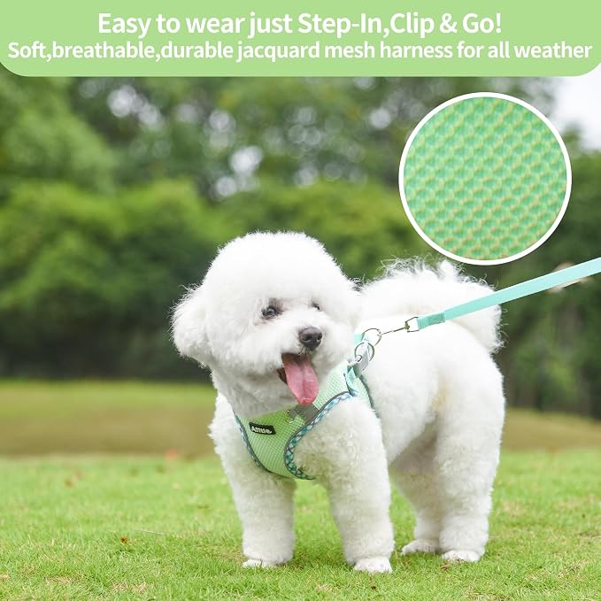 AIITLE Dog Harness and Leash Set - Image 3