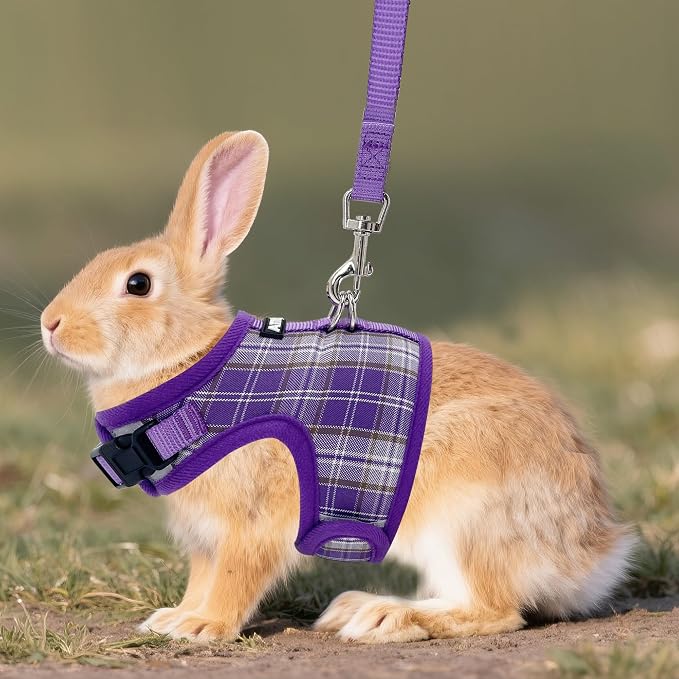 AIITLE Adjustable Bunny Harness & Leash Set - Image 7