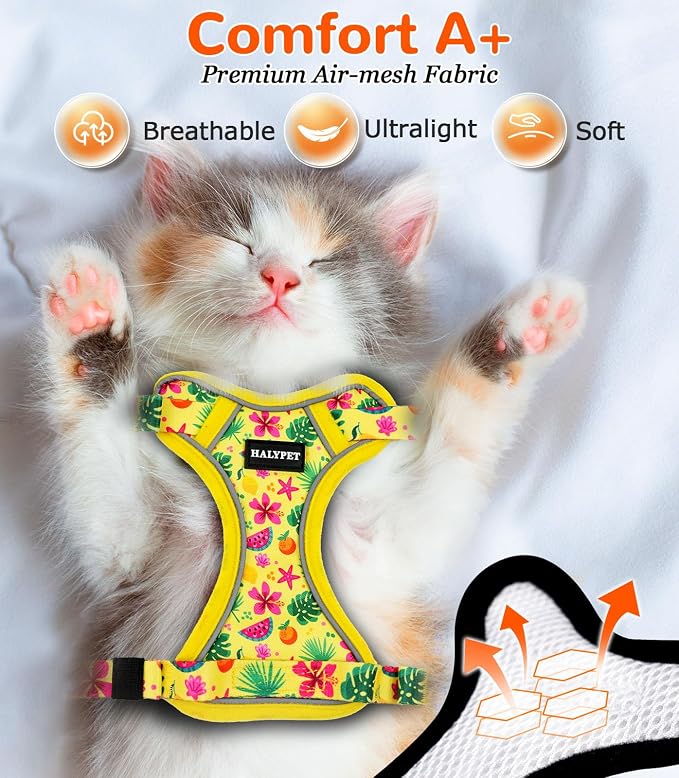Halypet Cat Harness and Leash Set - Image 7