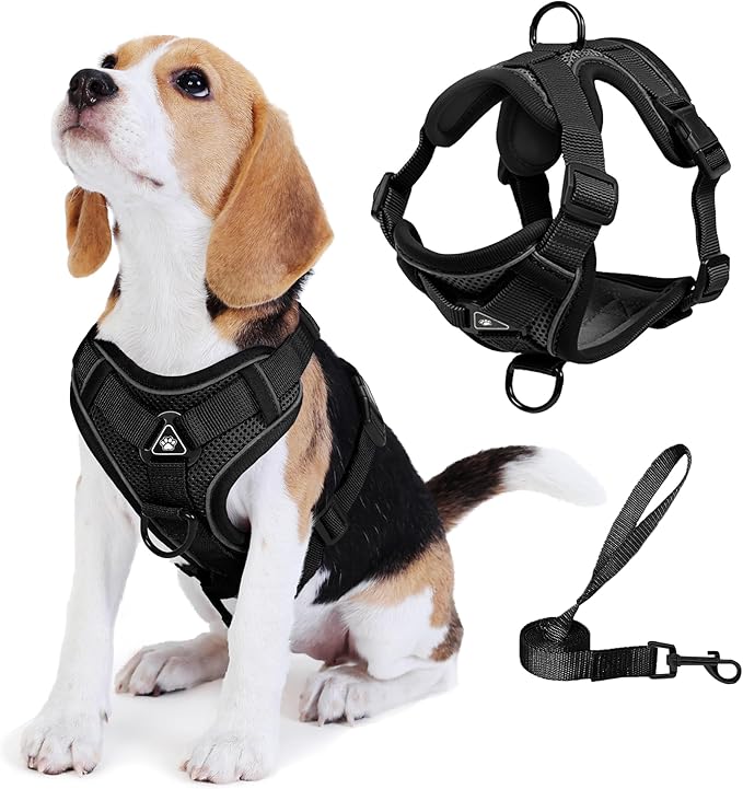 No Pull Dog Harness with Leash Set by Unknown