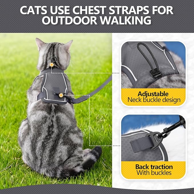 Cat Harness and Leash Set - Image 4