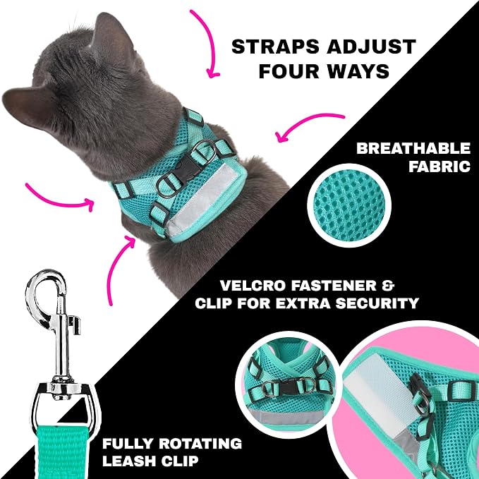 Travel Cat x Jackson Galaxy Harness and Leash Set - Image 3