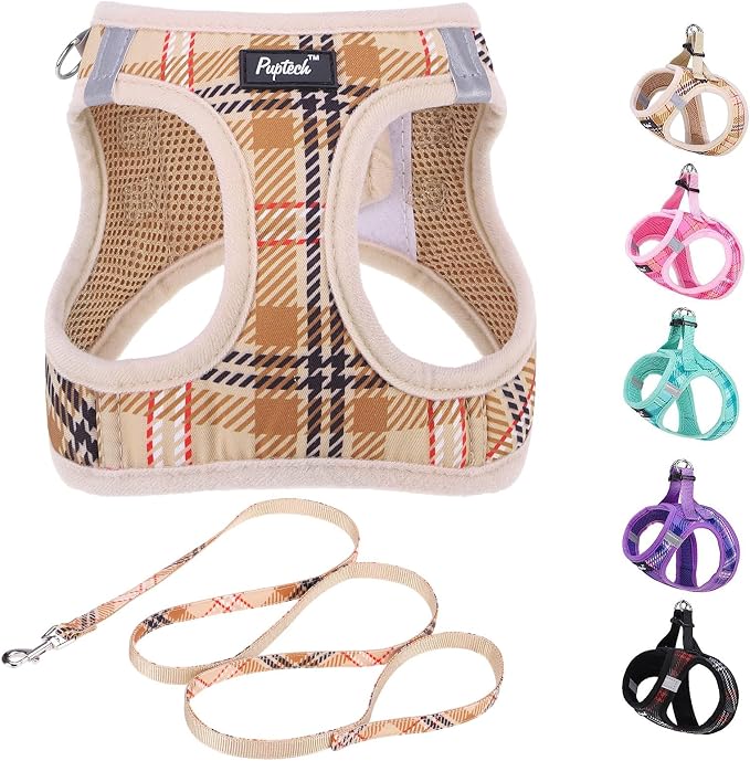 PUPTECK Dog Harness and Leash Set by PUPTECK