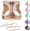 PUPTECK Dog Harness and Leash Set by PUPTECK