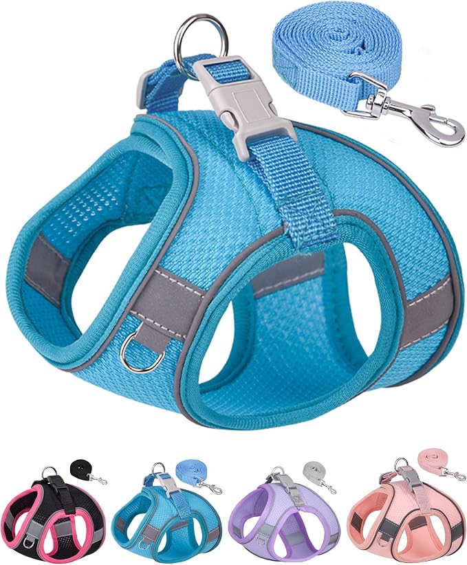 Dog Harness for Small Medium Sized Dog, Step in Puppy Harness and Leash Set by Aecllcea