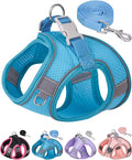 Dog Harness for Small Medium Sized Dog, Step in Puppy Harness and Leash Set by Aecllcea