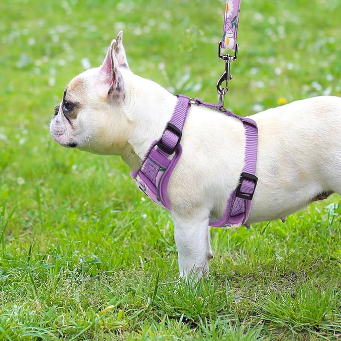 PUPTECK Small Dog Harness and Leash Set, No Pull Adjustable Puppy Cat Harness - Image 6