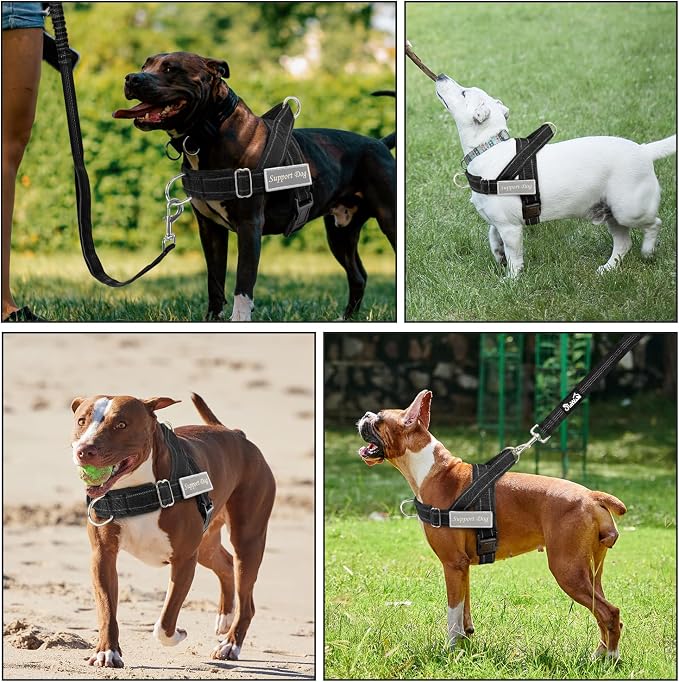 SlowTon No Pull Dog Harness - Image 8