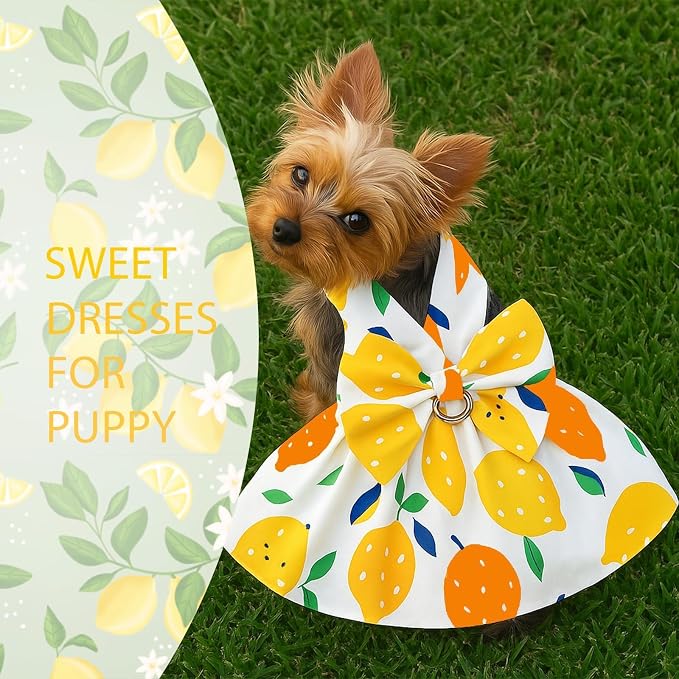 Dog Dress Bowknot Harness Leash Set - Image 3