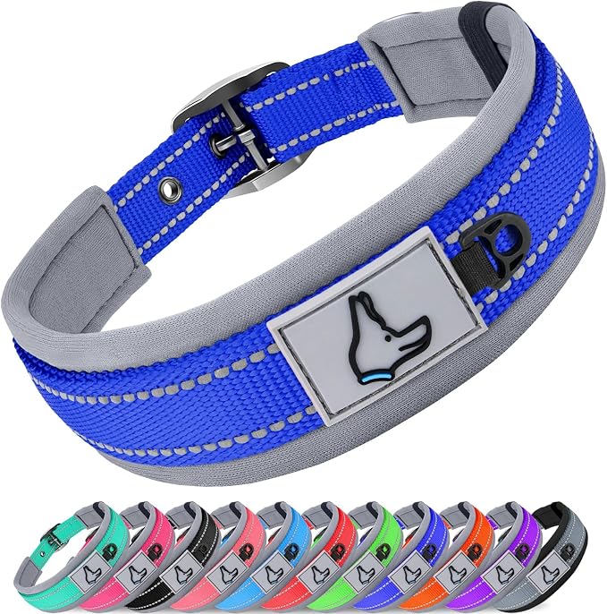 Joytale Dog Collar for Medium Dogs, Neoprene Padded and Adjustable, Reflective by Joytale