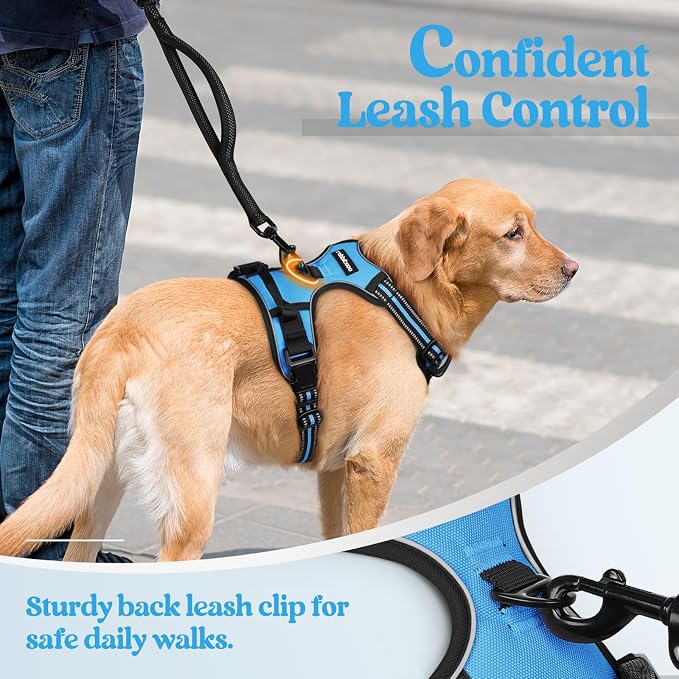 rabbitgoo Dog Harness No Pull - Image 6