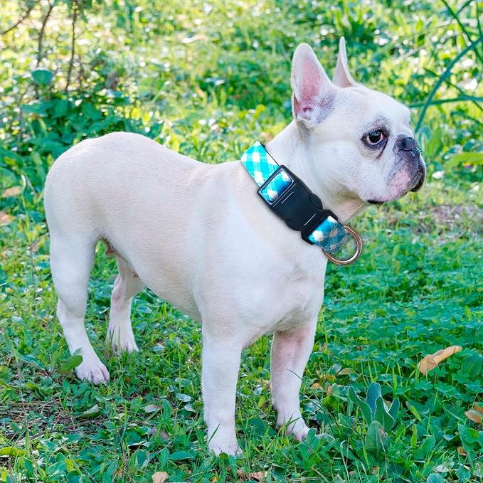Reflective Dog Collar Padded - Image 5